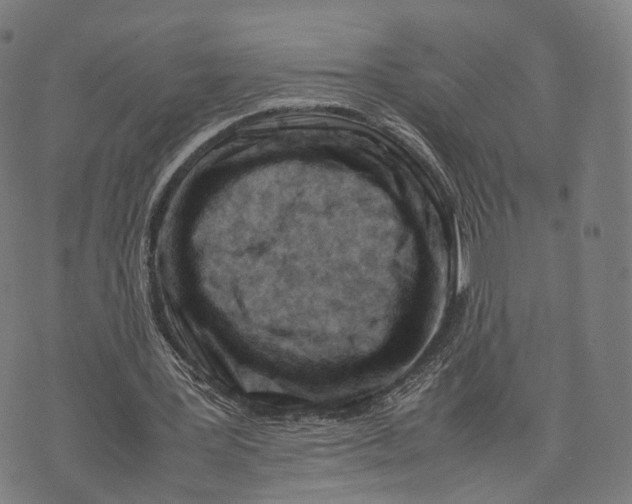 X0000074210387200609151601