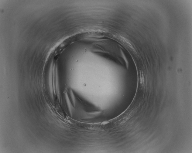 X0000074210388200609151601