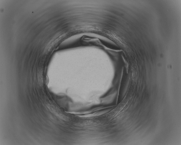 X0000074210390200609151601