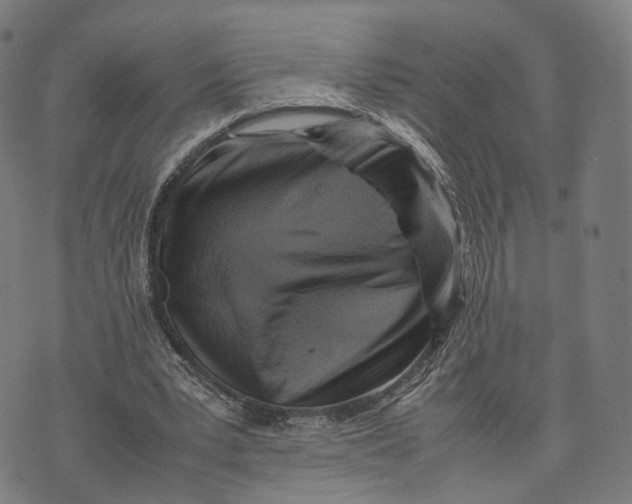 X0000074210391200609151601