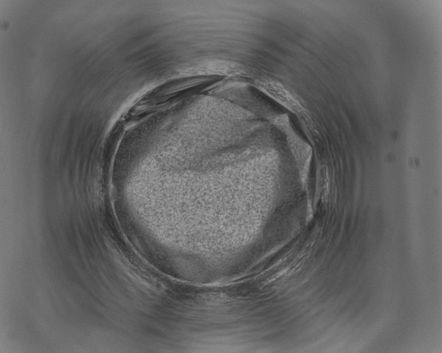 X0000074210392200609151601