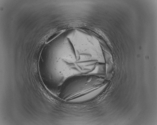 X0000074210393200609151601