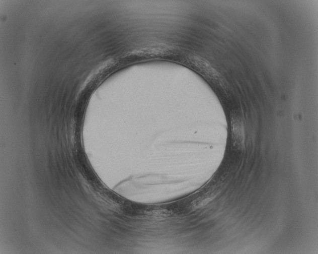 X0000074210396200609151601