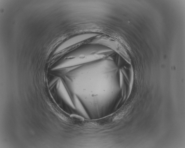 X0000074210397200609151601