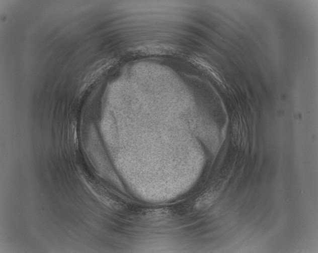 X0000074210398200609151601