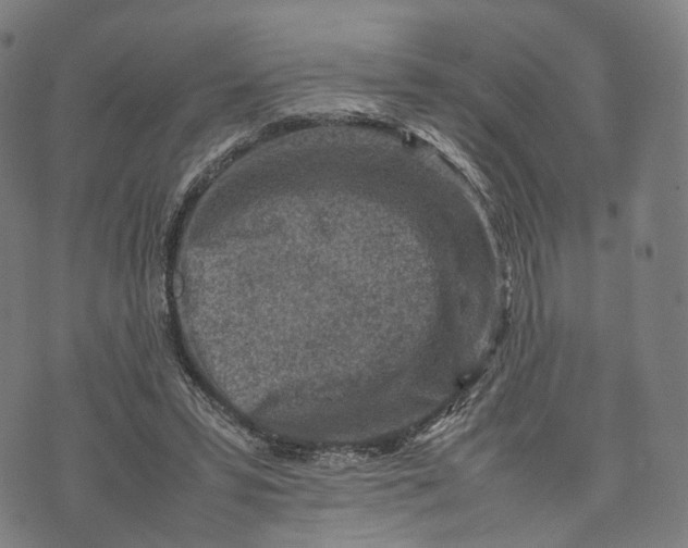 X0000074210399200609151601