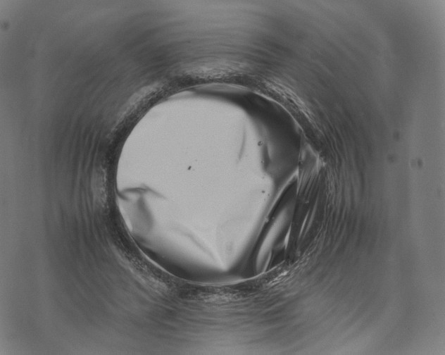 X0000074210400200609151601