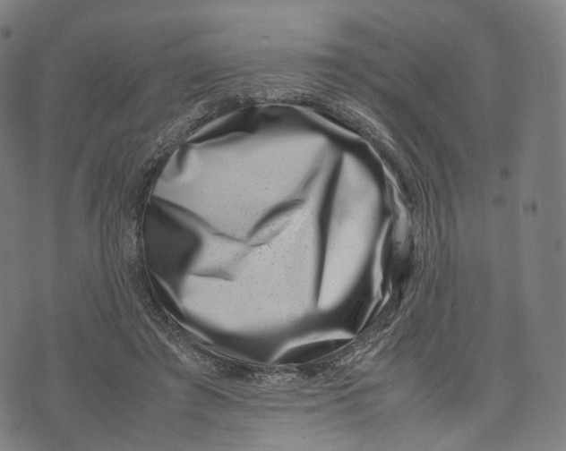 X0000074210401200609151601