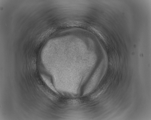 X0000074210402200609151601