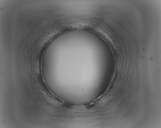 X0000074210403200609151601