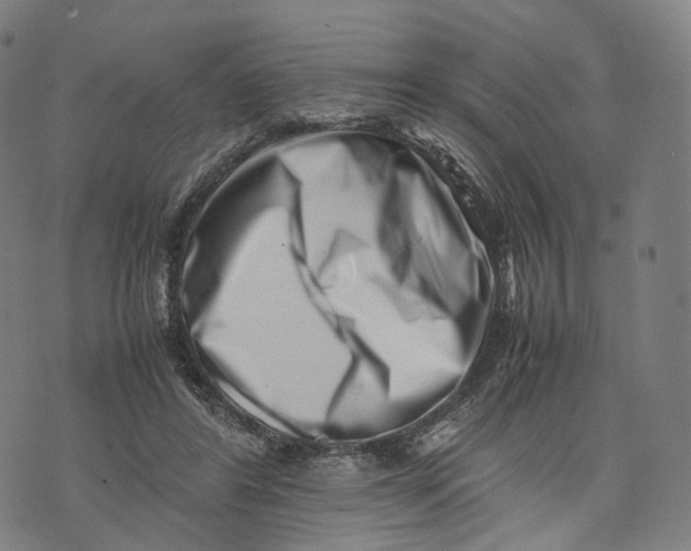 X0000074210404200609151601