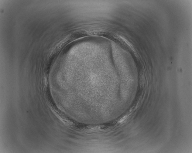 X0000074210405200609151601