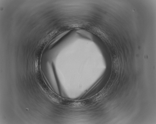 X0000074210406200609151601