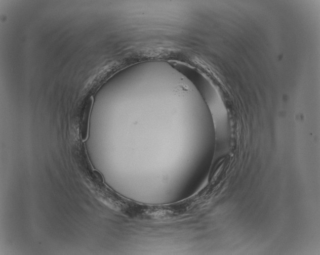 X0000074210407200609151601