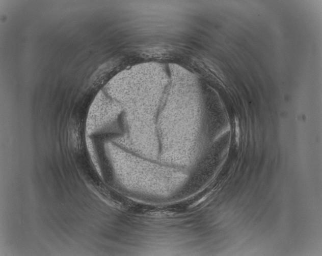 X0000074210408200609151601