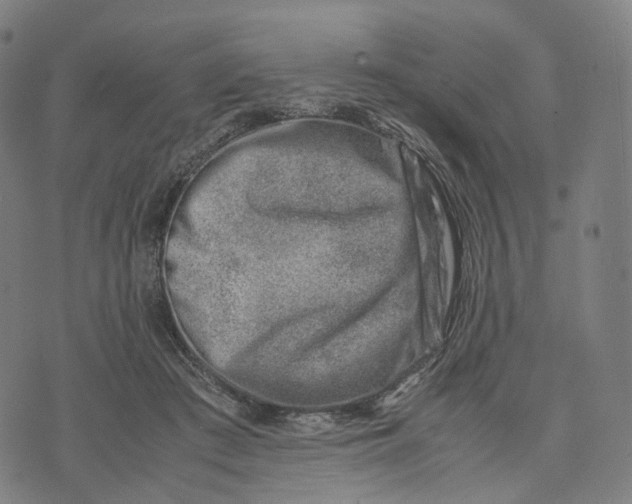 X0000074210409200609151601