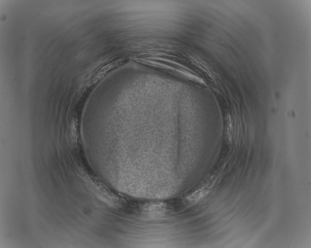 X0000074210410200609151601