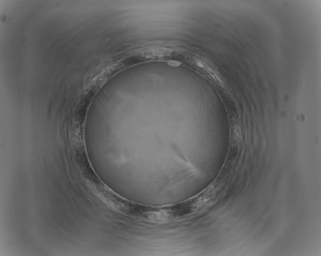 X0000074210411200609151601