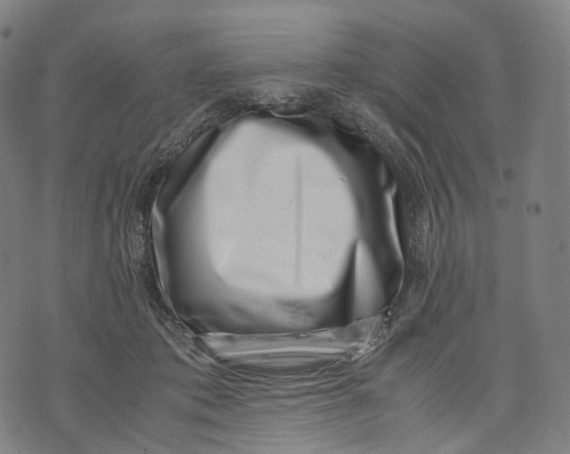 X0000074210413200609151601