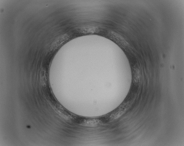 X0000074210414200609151601