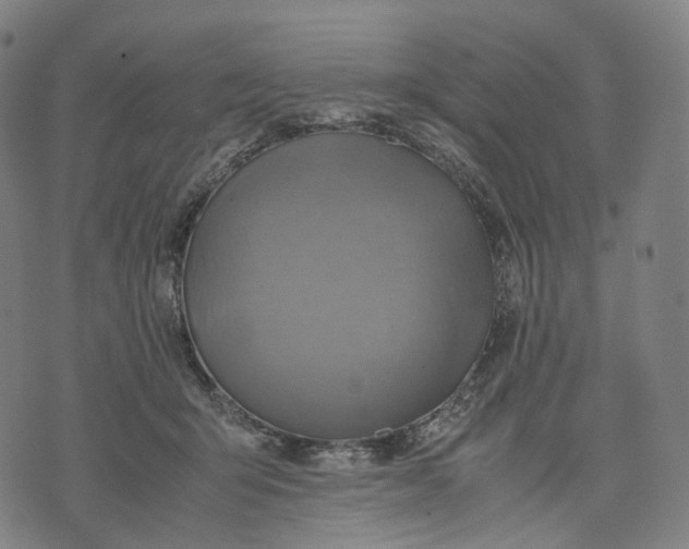 X0000074210415200609151601