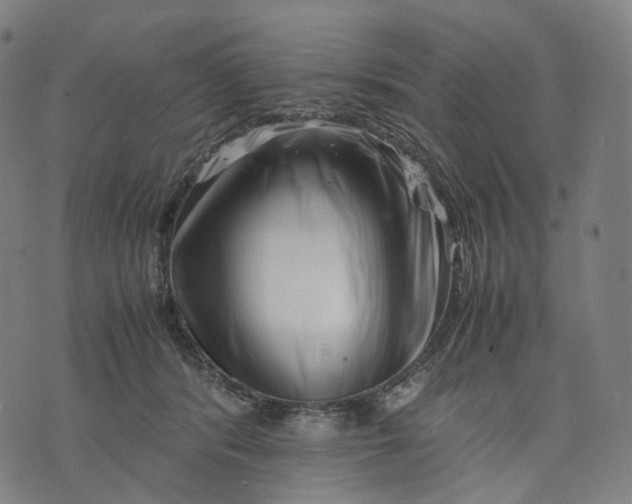 X0000074210416200609151601