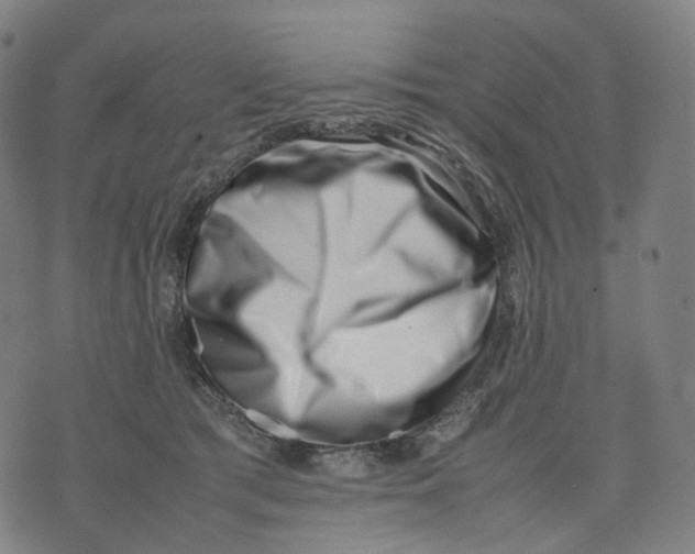 X0000074210417200609151601