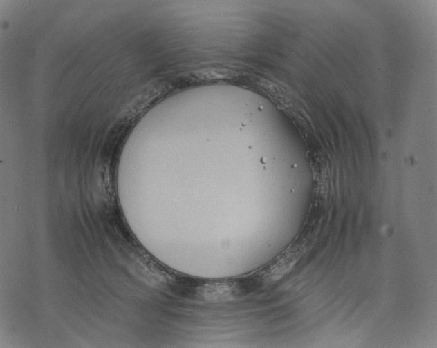 X0000074210418200609151601