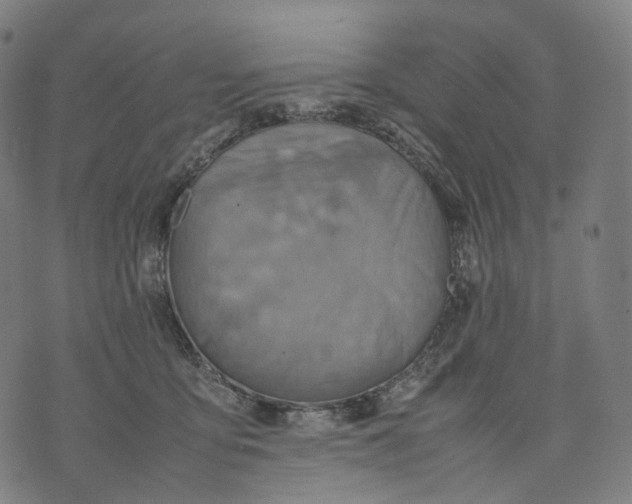 X0000074210419200609151601