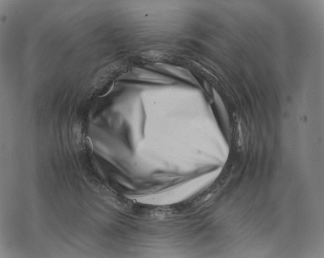 X0000074210420200609151601