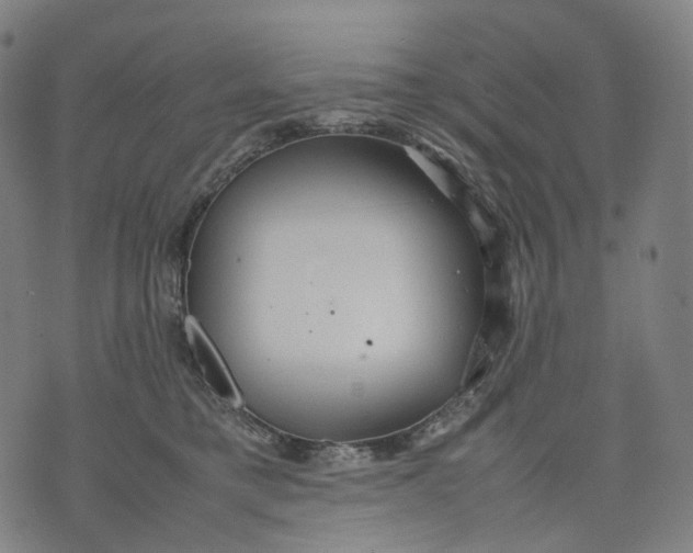 X0000074210421200609151601