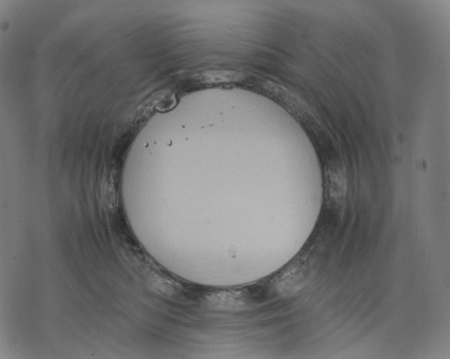 X0000074210422200609151601