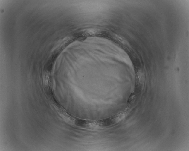 X0000074210423200609151601