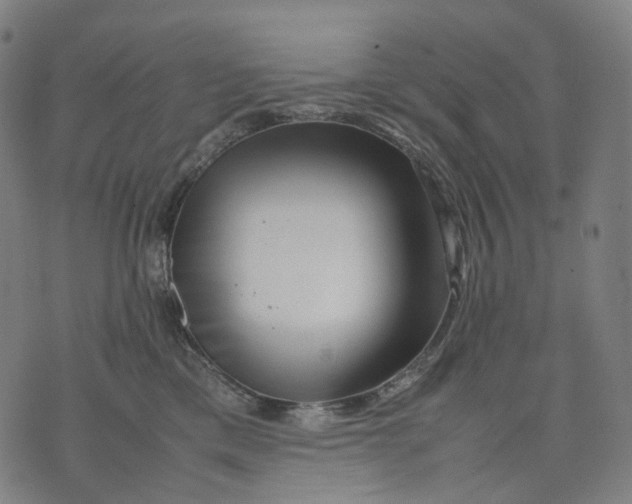 X0000074210425200609151601