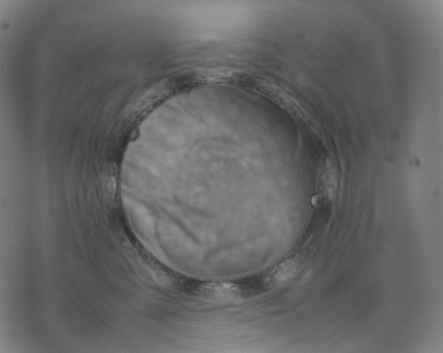 X0000074210427200609151601