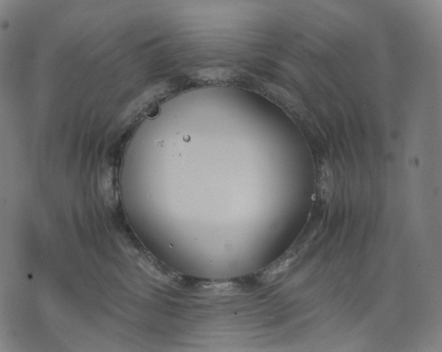 X0000074210428200609151601