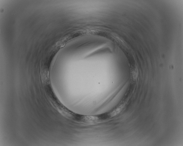 X0000074210429200609151601