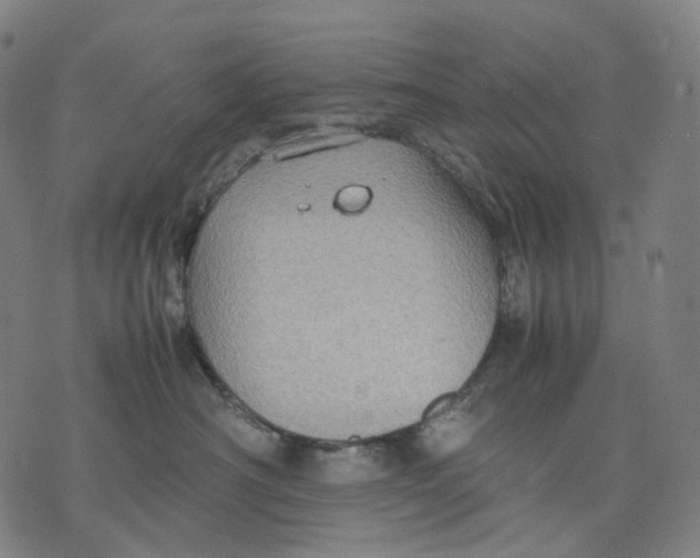 X0000074210430200609151601