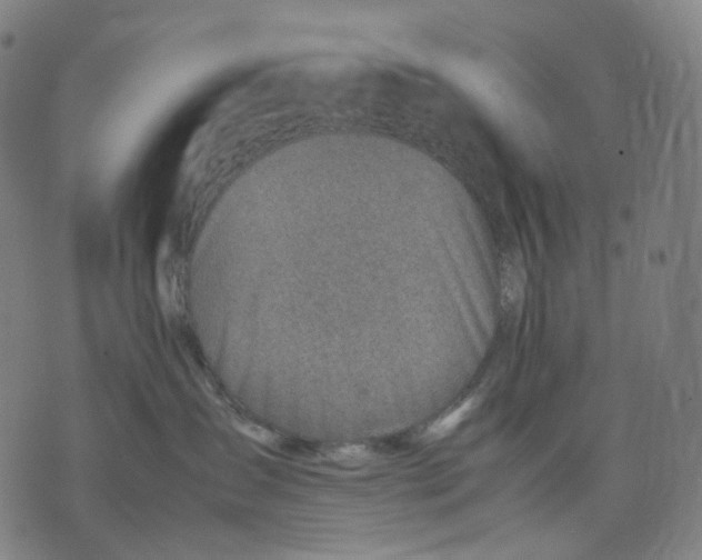 X0000074210431200609151601