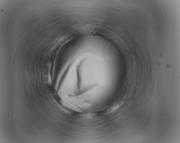 X0000074210432200609151601