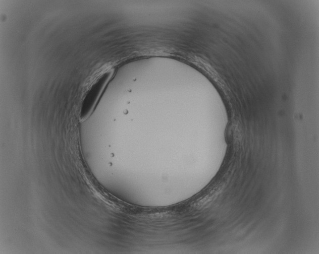 X0000074210433200609151600