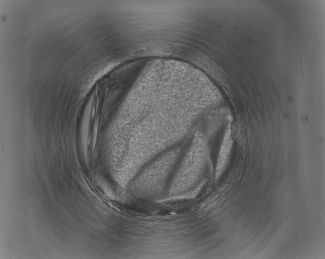 X0000074210434200609151600