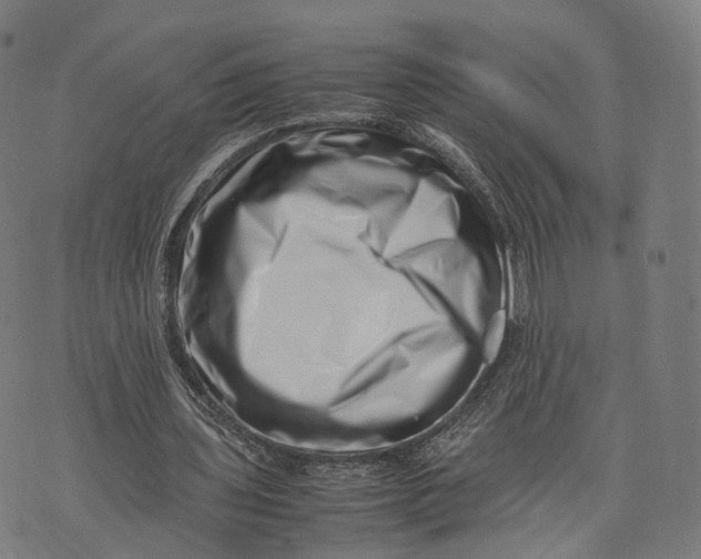 X0000074210435200609151600