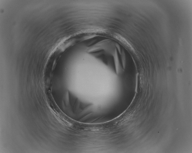 X0000074210436200609151600