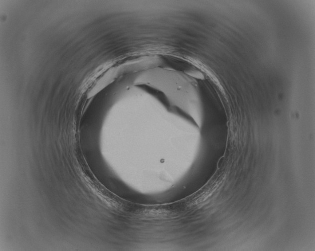 X0000074210437200609151600