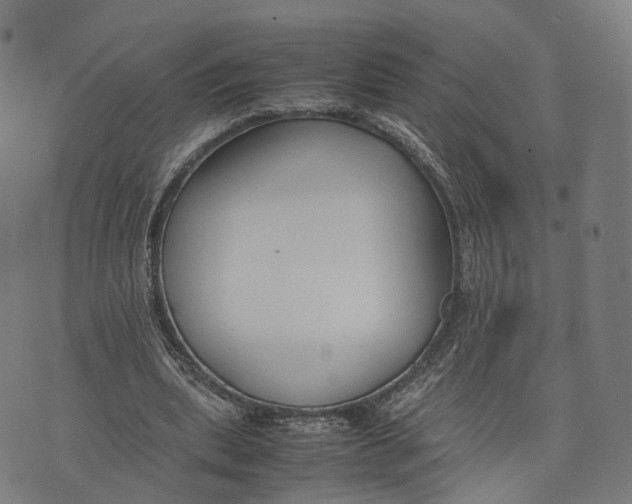 X0000074210439200609151600