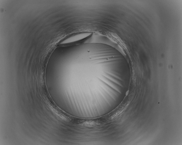 X0000074210441200609151600