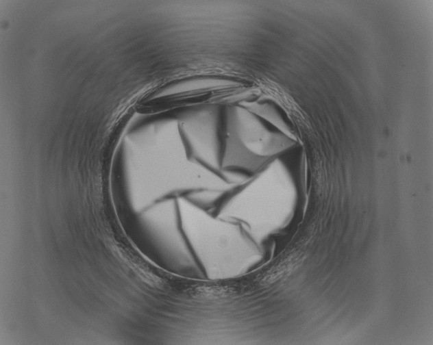 X0000074210442200609151600