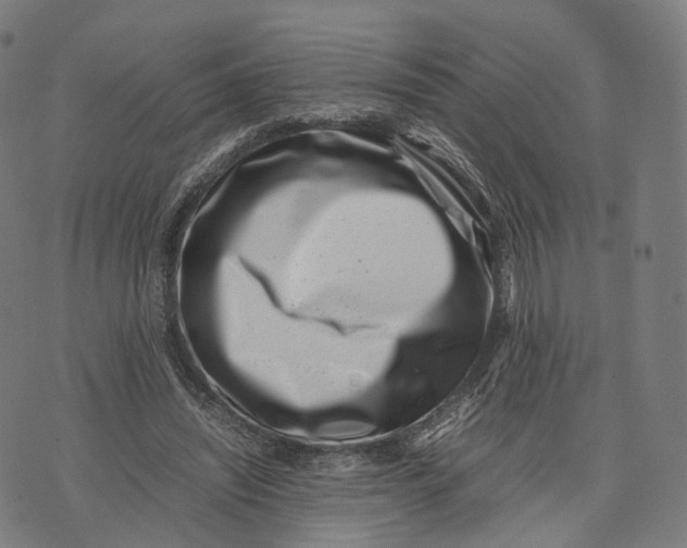 X0000074210444200609151600