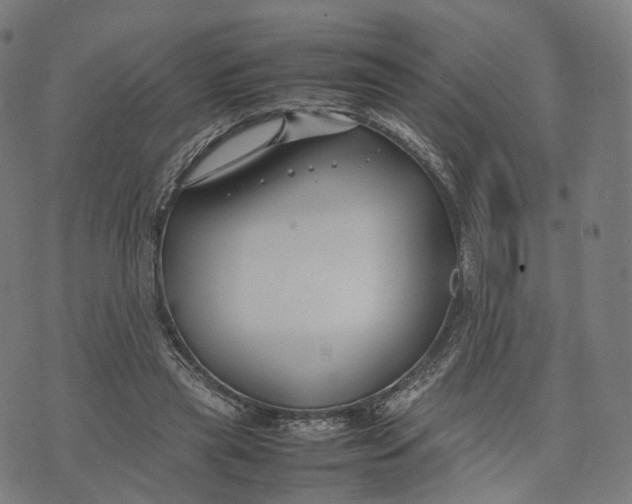 X0000074210445200609151600